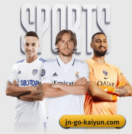 五个功能入口,赛程查询路径更短 - 多运动项目内容板块 - kaiyun